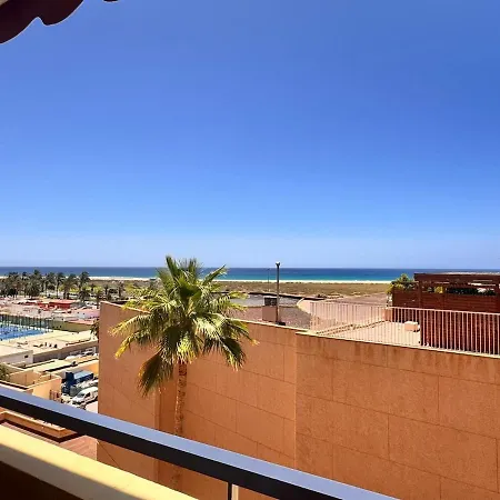 Flor De Morro Morro Jable (Fuerteventura)