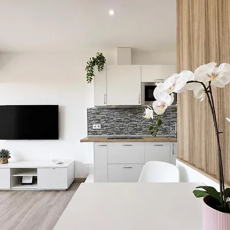 Apartment Flor De Morro