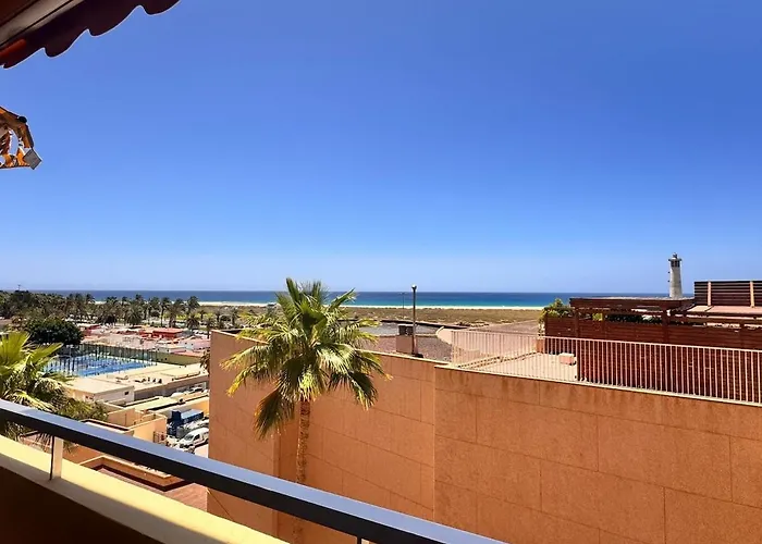 Flor De Morro Morro Jable (Fuerteventura)
